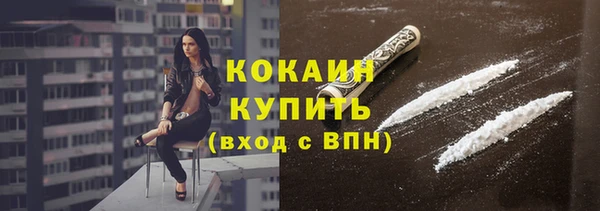стаф Алзамай