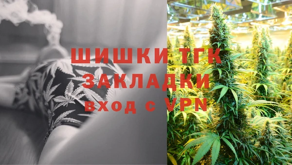 гидра Алексеевка