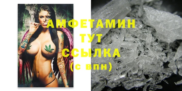 стаф Алзамай