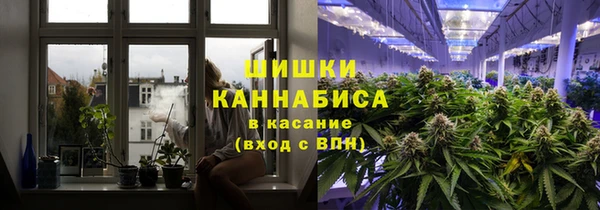стаф Алзамай