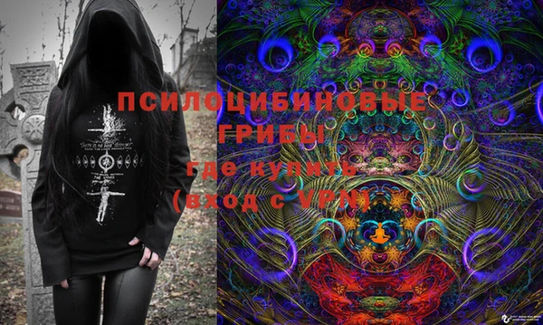стаф Алзамай