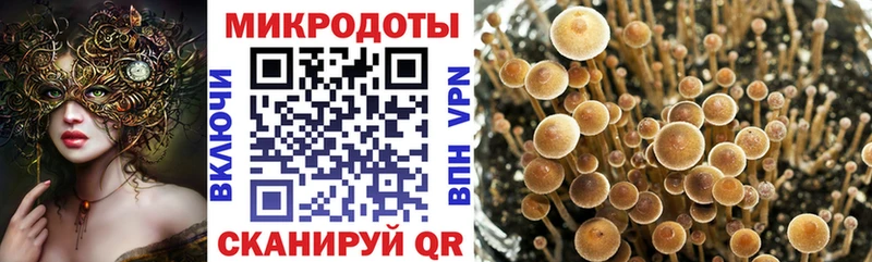 где можно купить наркотик  Дмитров  мориарти формула  Псилоцибиновые грибы ЛСД 