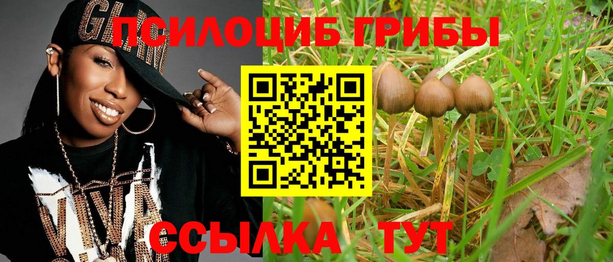 Галлюциногенные грибы мицелий  Псилоцибиновые грибы ЛСД  Дмитров  Вход с VPN 