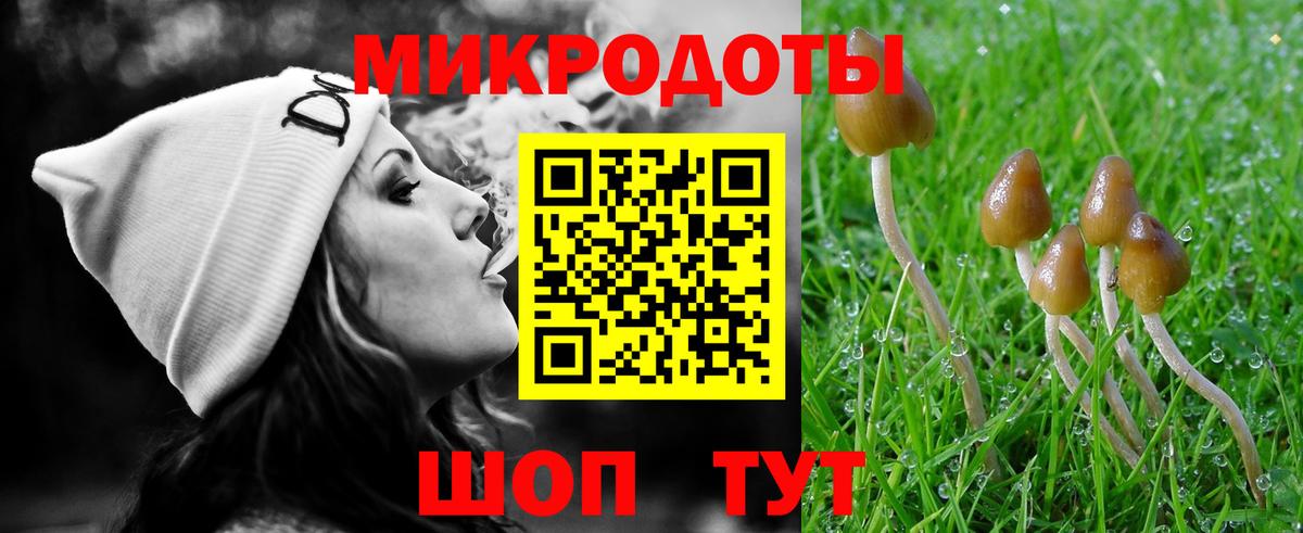 Галлюциногенные грибы Magic Shrooms Дмитров